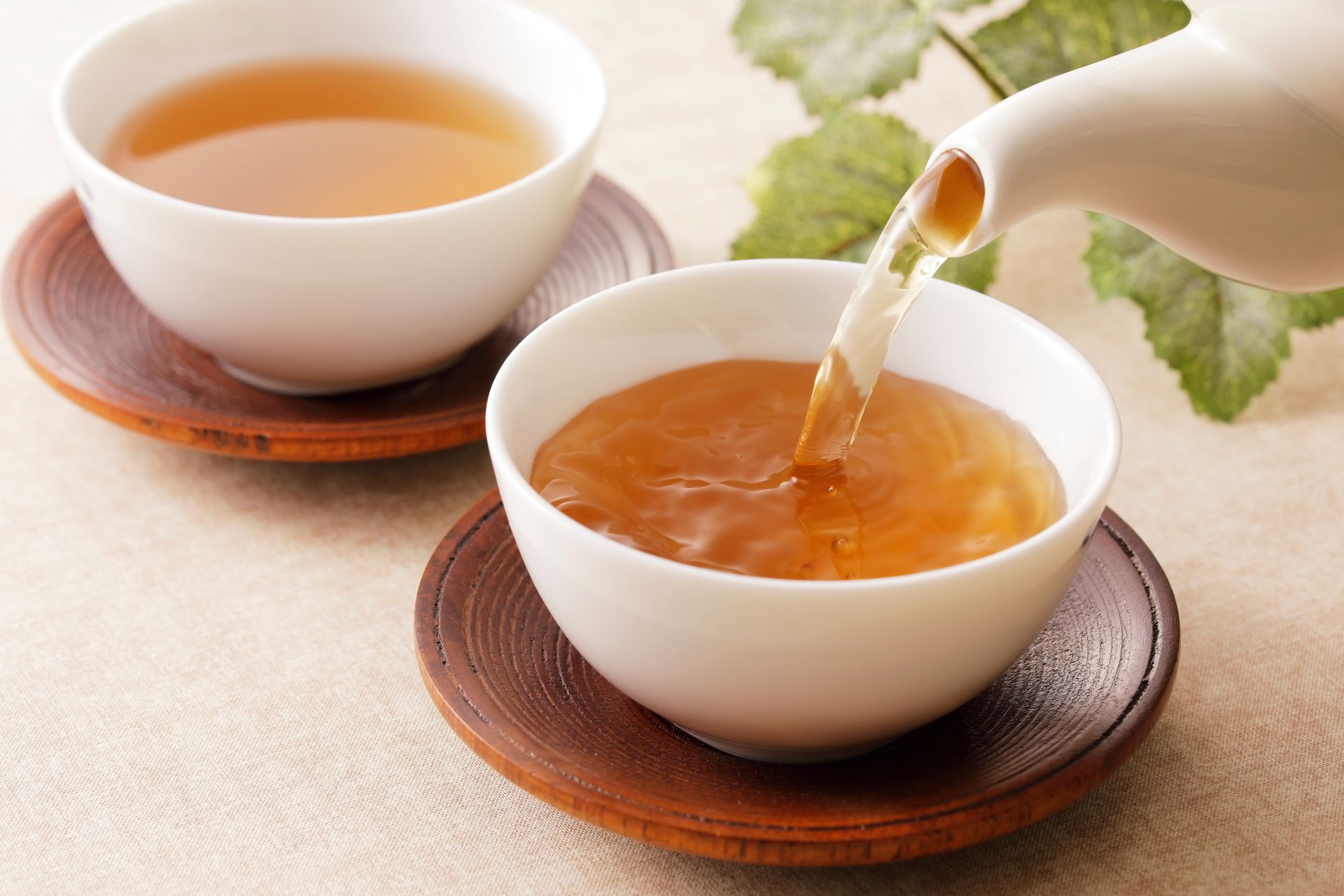 ほうじ茶の取り寄せ | 茶葉の取り寄せなら松田農園